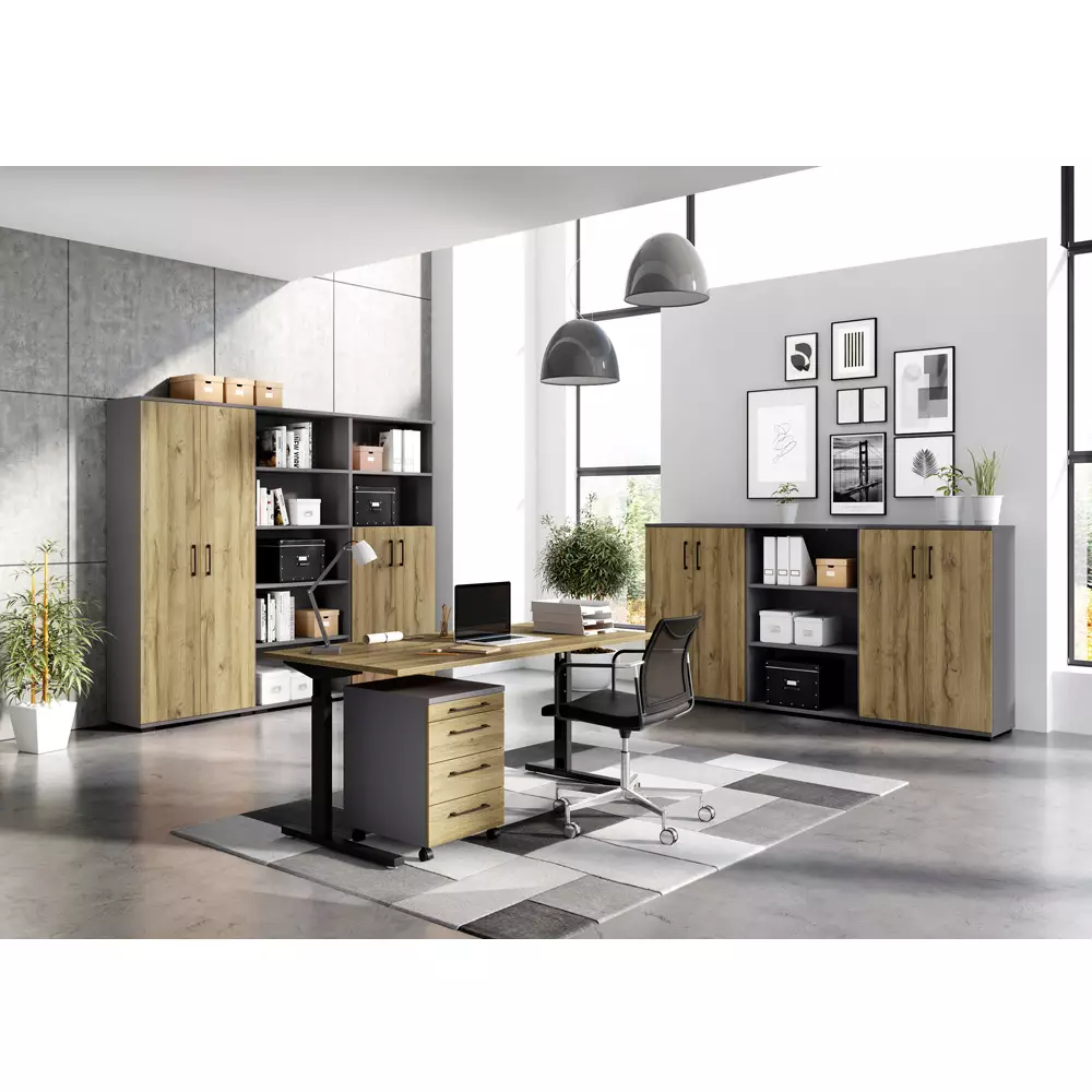 Lomadox Aktenregal Arbeitszimmer PRATO-01 in graphit, B/H/T: ca. 80/123/40 cm Online
