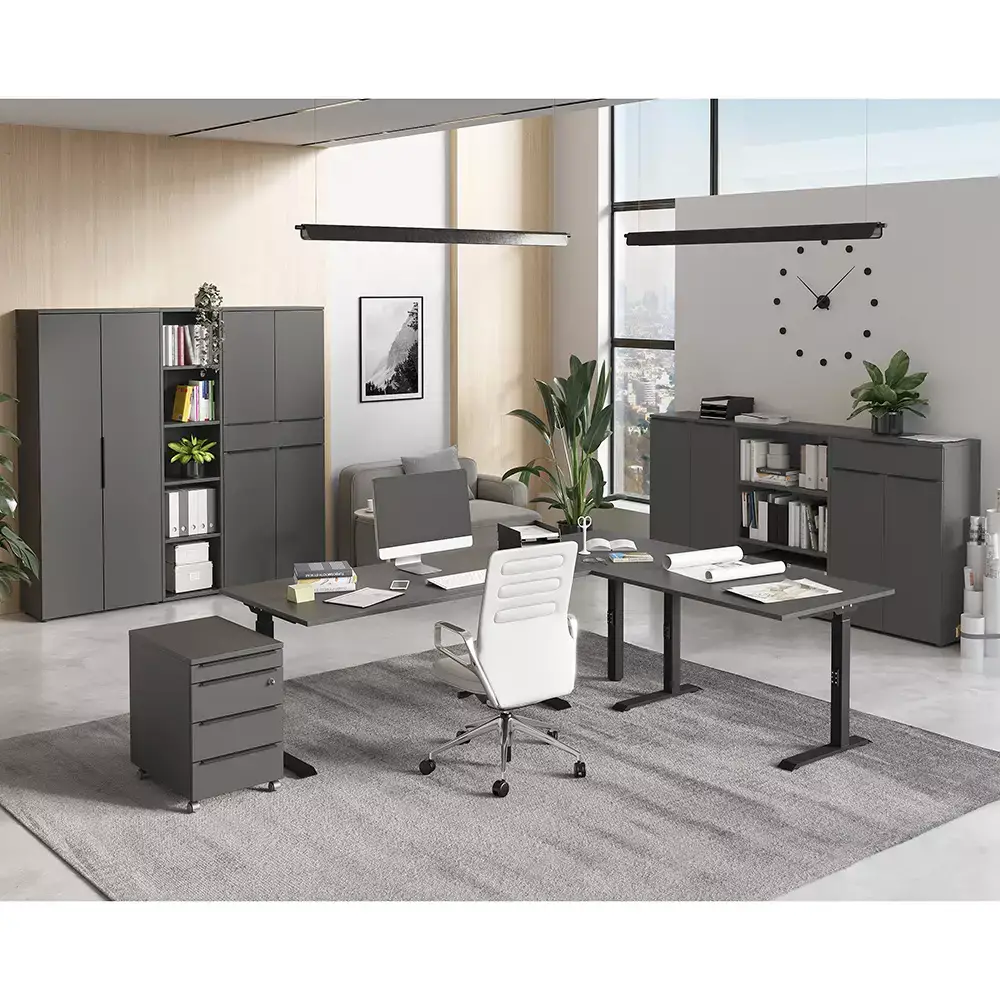 Lomadox Aktenschrank 81cm, graphit, MEMPHIS-01 Günstig kaufen