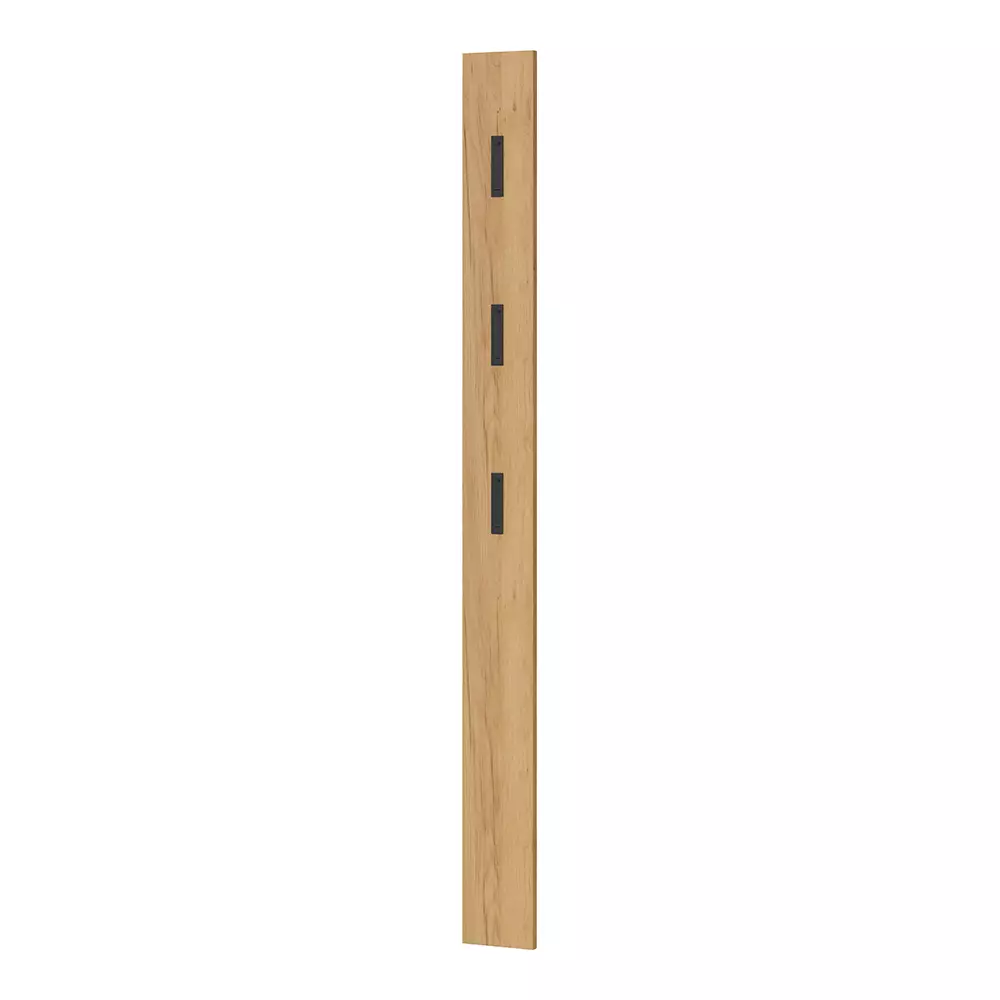Lomadox Garderobenpaneel Wandgarderobe in Eiche ABERDEEN-01 mit ausklappbaren Metallhaken, B/H/T ca. 15/170/3 cm