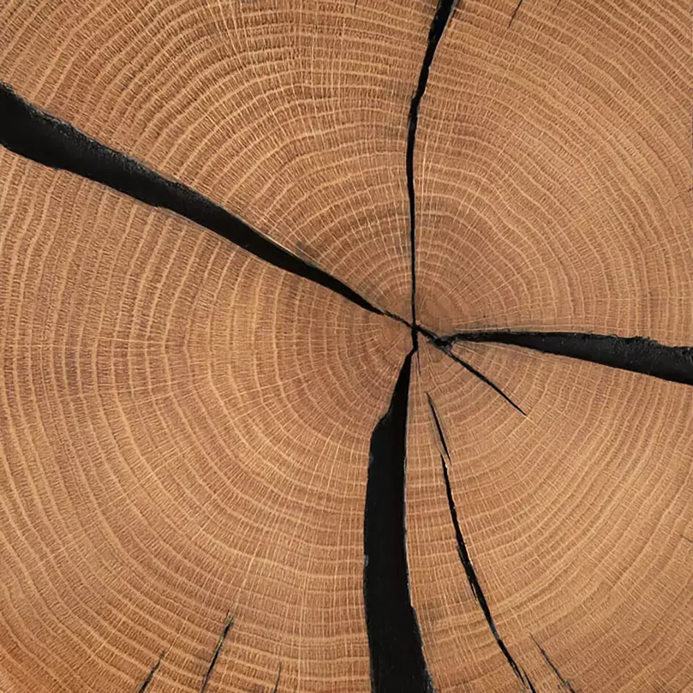 Lomadox Sitztruhe B/H/T ca. 80/40/40 cm modern in Eiche massiv geölt mit Hirnholz KIMBERLEY-69 Limitierter Zeitrabatt
