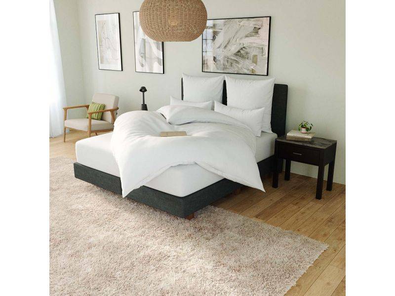 Ribeco RIBECO Ballonbett Leon 100% Federn Fabrik Onlineshop