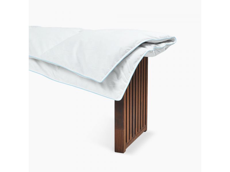 Ribeco RIBECO Federdecke Lars 20% silberweiße Daune Sonderangebot