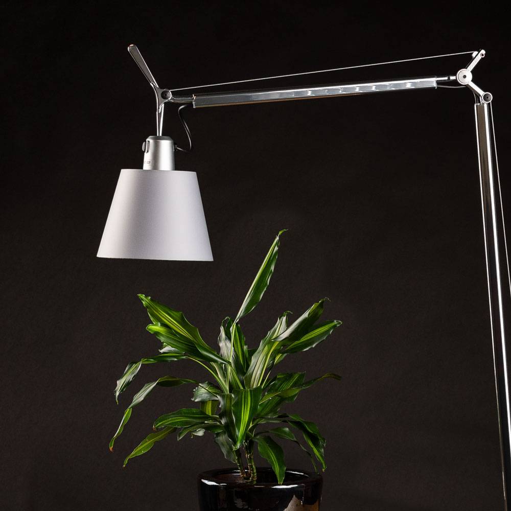 S.Luce Artemide Tolomeo Lettura Basculante Stehleuchte Fabrikladen