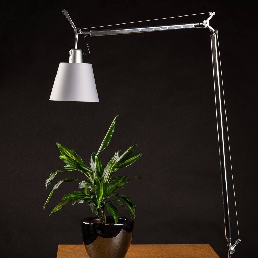 S.Luce Artemide Tolomeo Basculante Body Körper Ø 18cm Satin Sonderangebote