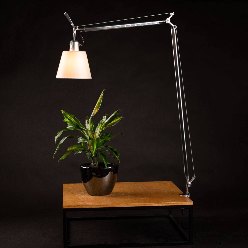 S.Luce Artemide Tolomeo Basculante Tischlampe Ø 18cm Pergament Hotsell
