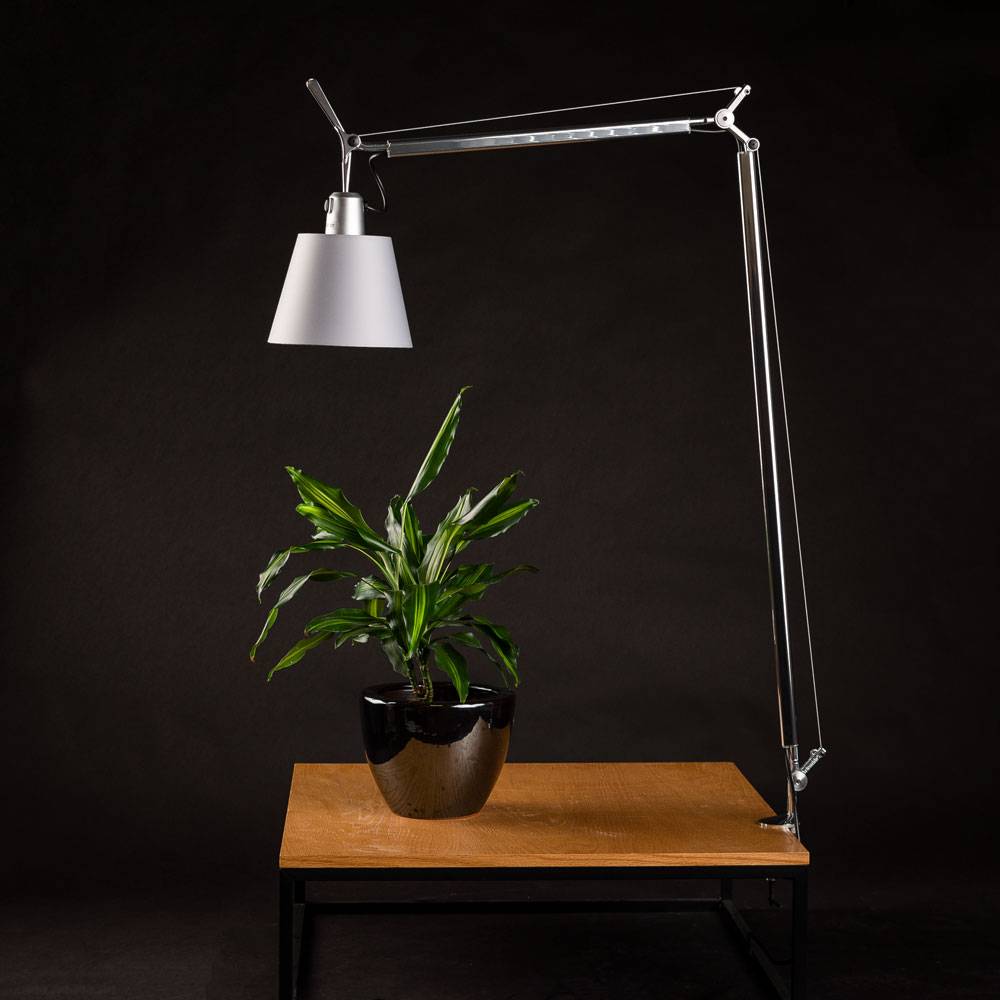 S.Luce Artemide Tolomeo Basculante Tischlampe Ø 18cm Pergament Hotsell