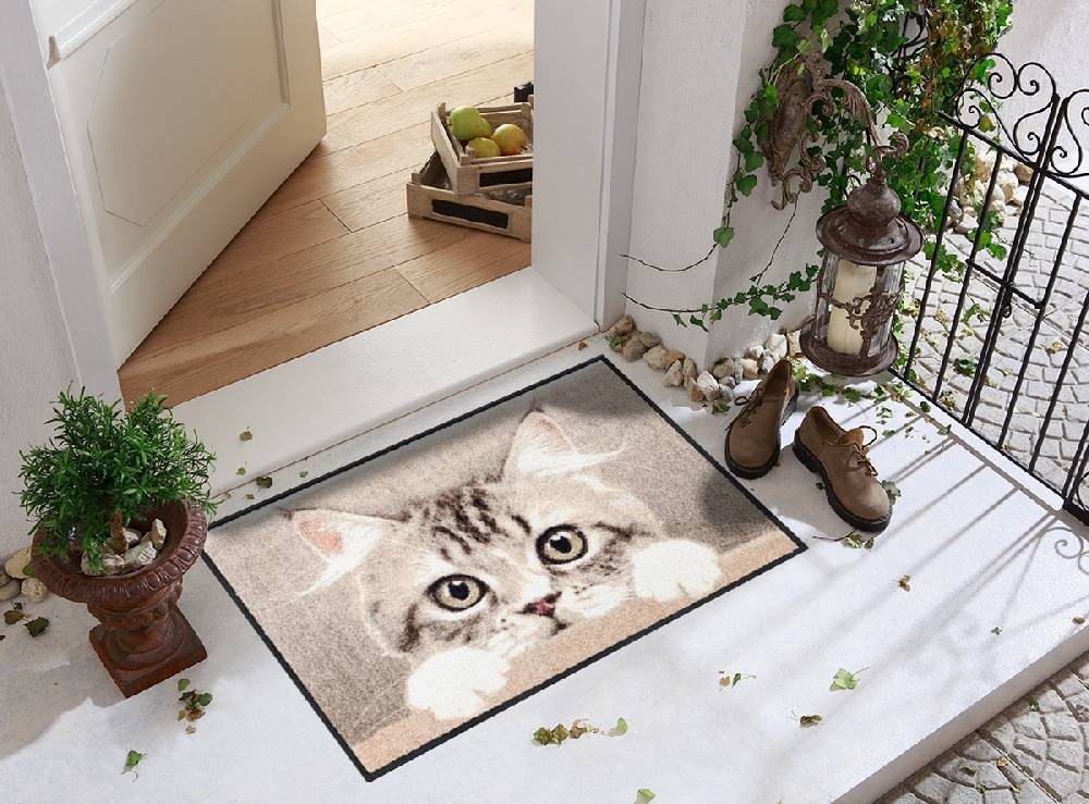 Salonloewe Nosy Cat Fußmatte Angebote