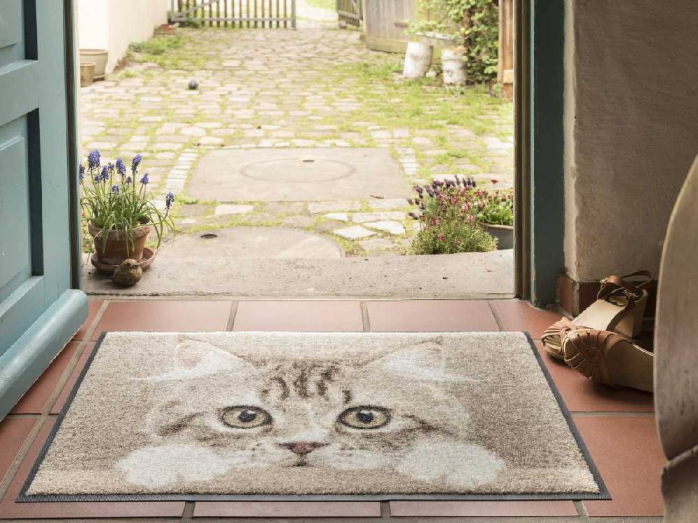 Salonloewe Nosy Cat Fußmatte Angebote