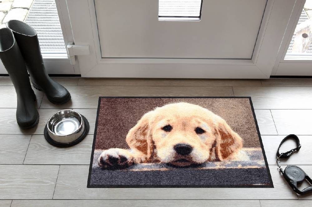 Salonloewe Nosy Dog Fußmatte Hotsell