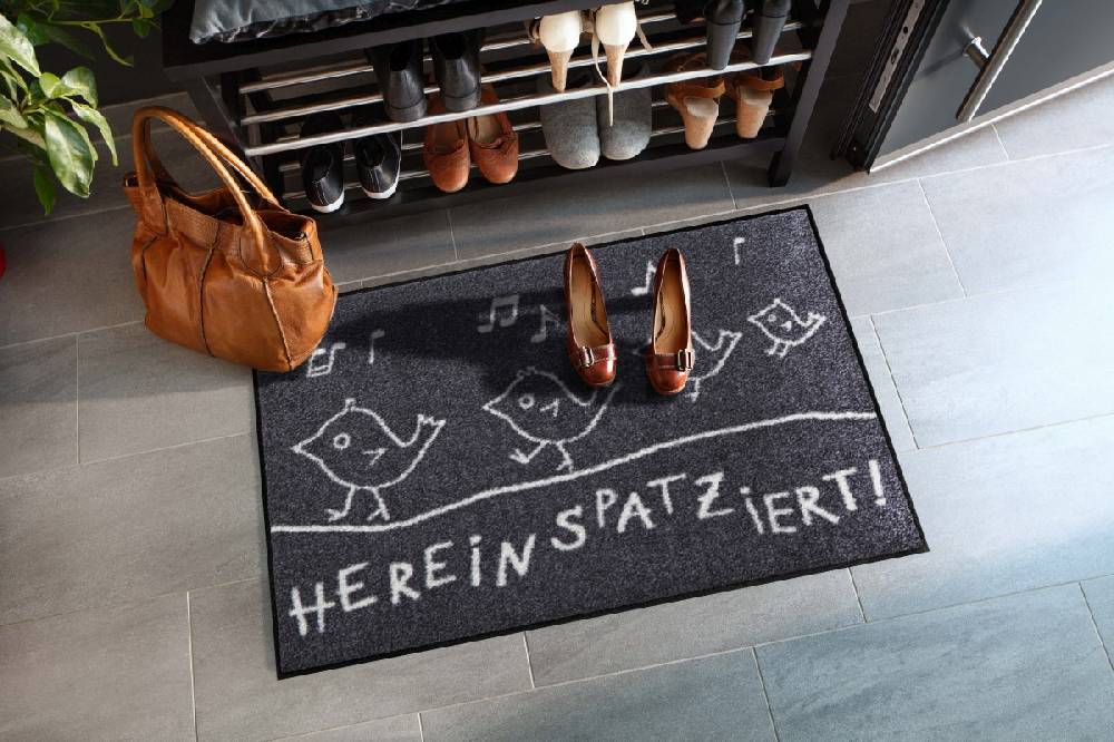 Salonloewe Hereinspatziert Fußmatte Sonderangebot der Fabrik