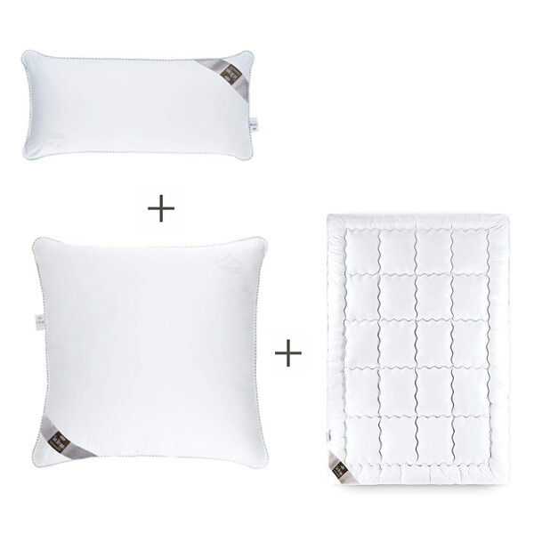 Sei Design DELuxe SWAN-SET: Bettdecke 135x200 normal + Kopfkissen 40x80 u. 80x80 Online Outlet