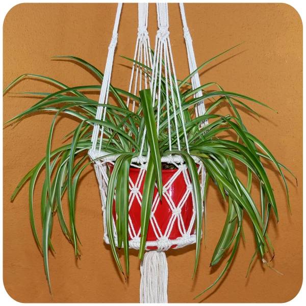 Simandra Makramee Blumenampel Hängeampel geknotet, Knüpftechnik Pflanzen-hänger Planthanger, Boho Vintage Shabby Chic geknüpft Muttertagsangebot