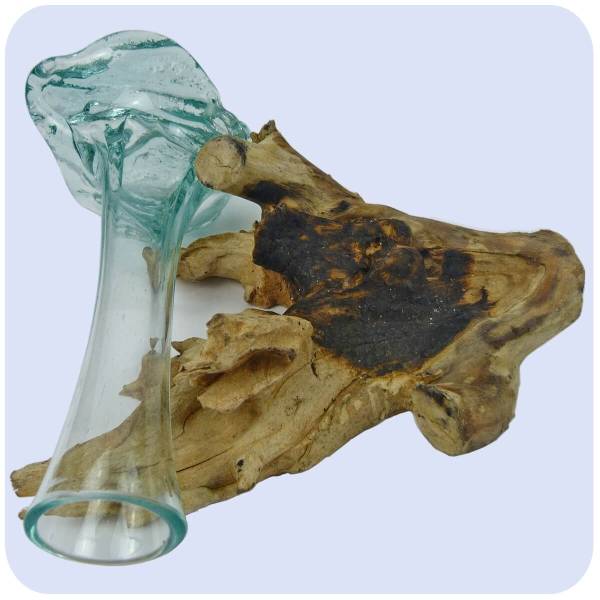 Simandra Wurzelholz Glas-Vase Wurzel-Vase Deko-Glas Holz Geschenk Unikat Objekt Design Blumenvase Karaffe Letzte 3 Tage