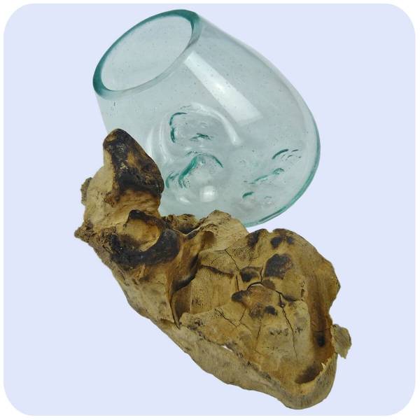 Simandra Wurzelholz Glas-Vase Wurzel-Vase Deko-Glas Holz Geschenk Unikat Objekt Design Blumenvase klein JETZT KAUFEN