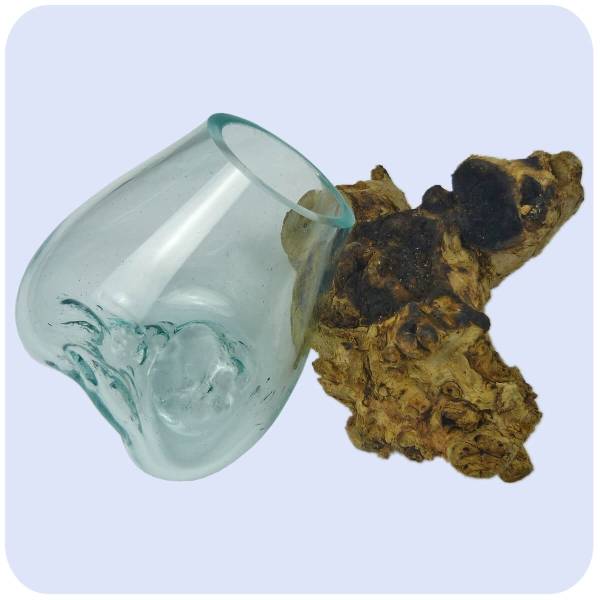 Simandra Wurzelholz Glas-Vase Wurzel-Vase Deko-Glas Holz Geschenk Unikat Objekt Design Blumenvase mittel Letzte 2 Tage