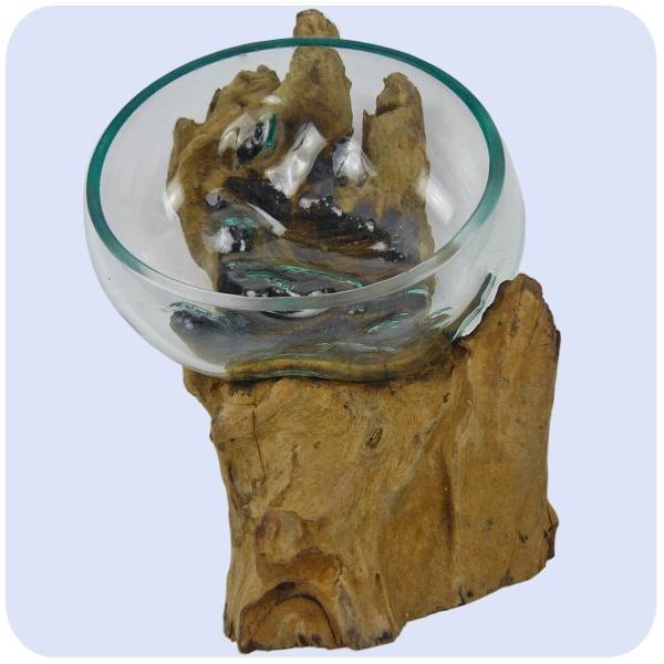 Simandra Wurzelholz Glas-Vase Wurzel-Vase Deko-Glas Holz Geschenk Unikat Objekt Design Blumenvase Schale Letzter Tag