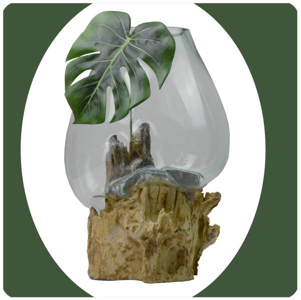 Simandra Wurzelholz Glas-Vase Wurzel-Vase Deko-Glas Kaffeewurzel Holz Design Blumenvase extra groß Zeitbegrenzte Promotion