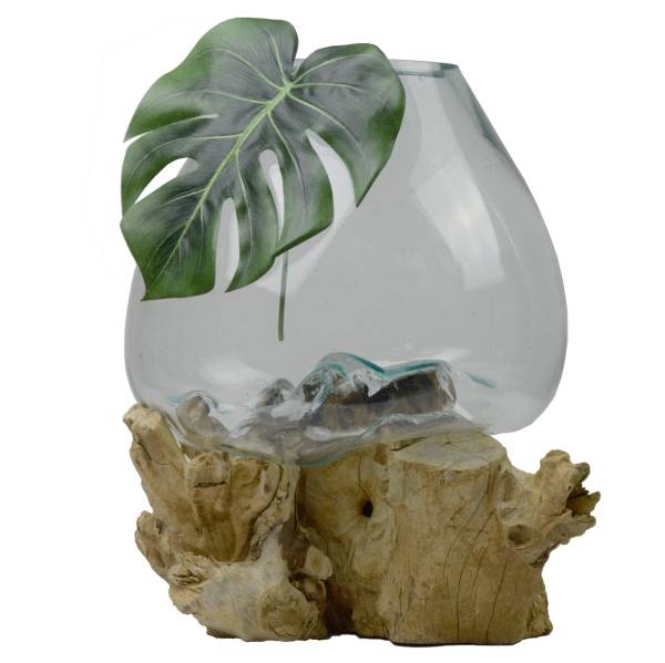 Simandra Wurzelholz Glas-Vase Wurzel-Vase Deko-Glas Kaffeewurzel Holz Design Blumenvase extra groß Zeitbegrenzte Promotion