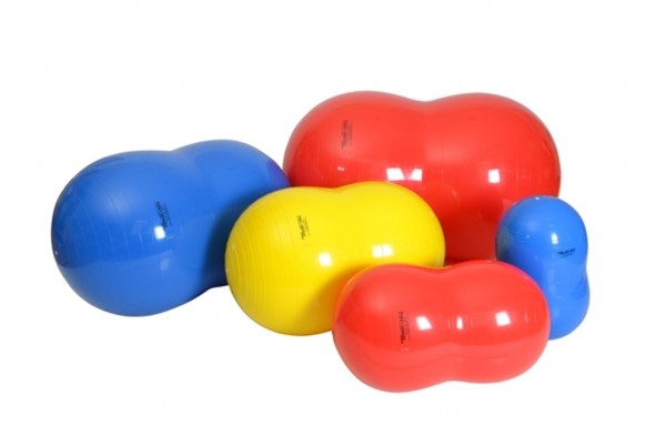 Stock Fachmann GYMNIC Physio-Roll Gymnastikball 2025