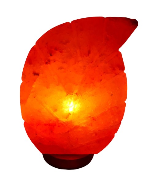 Stock Fachmann Salzlampe Blatt Sonderangebot der Fabrik