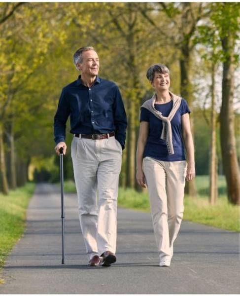 Stock Fachmann Faltstock anatomischer Griff Simple Große Rabatte