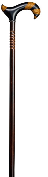 Stock Fachmann Gehstock Massai