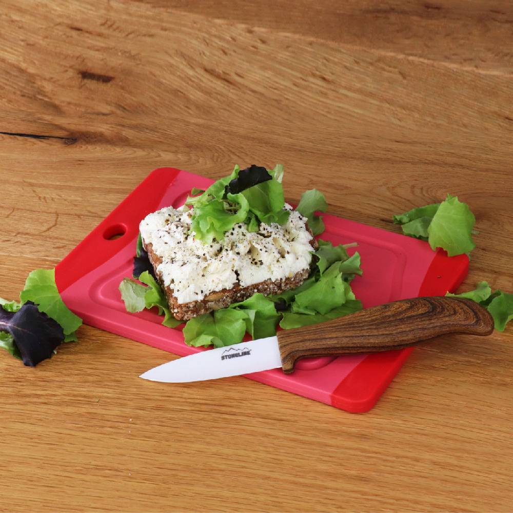 Stoneline Schneidebrett 20x14 cm Set 4-teilig Begrenzte Freigabe